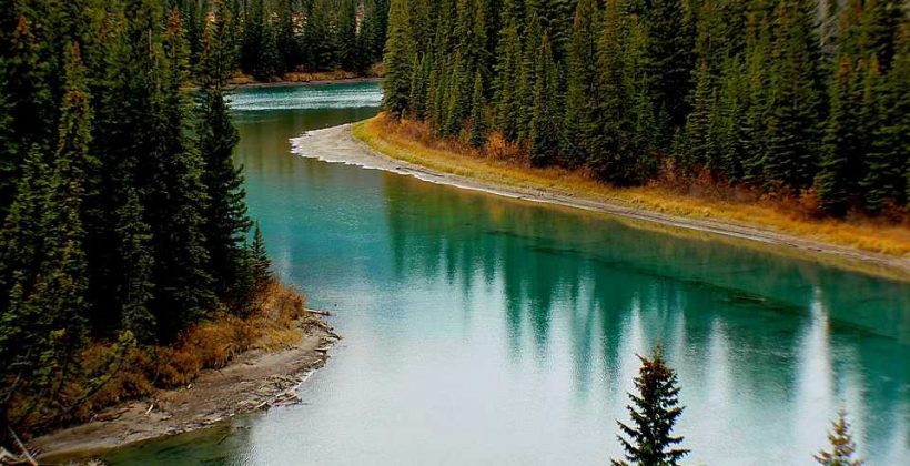 Strategie digitali intelligenti per la gestione sostenibile delle foreste Strategie digitali intelligenti per la gestione sostenibile delle foreste