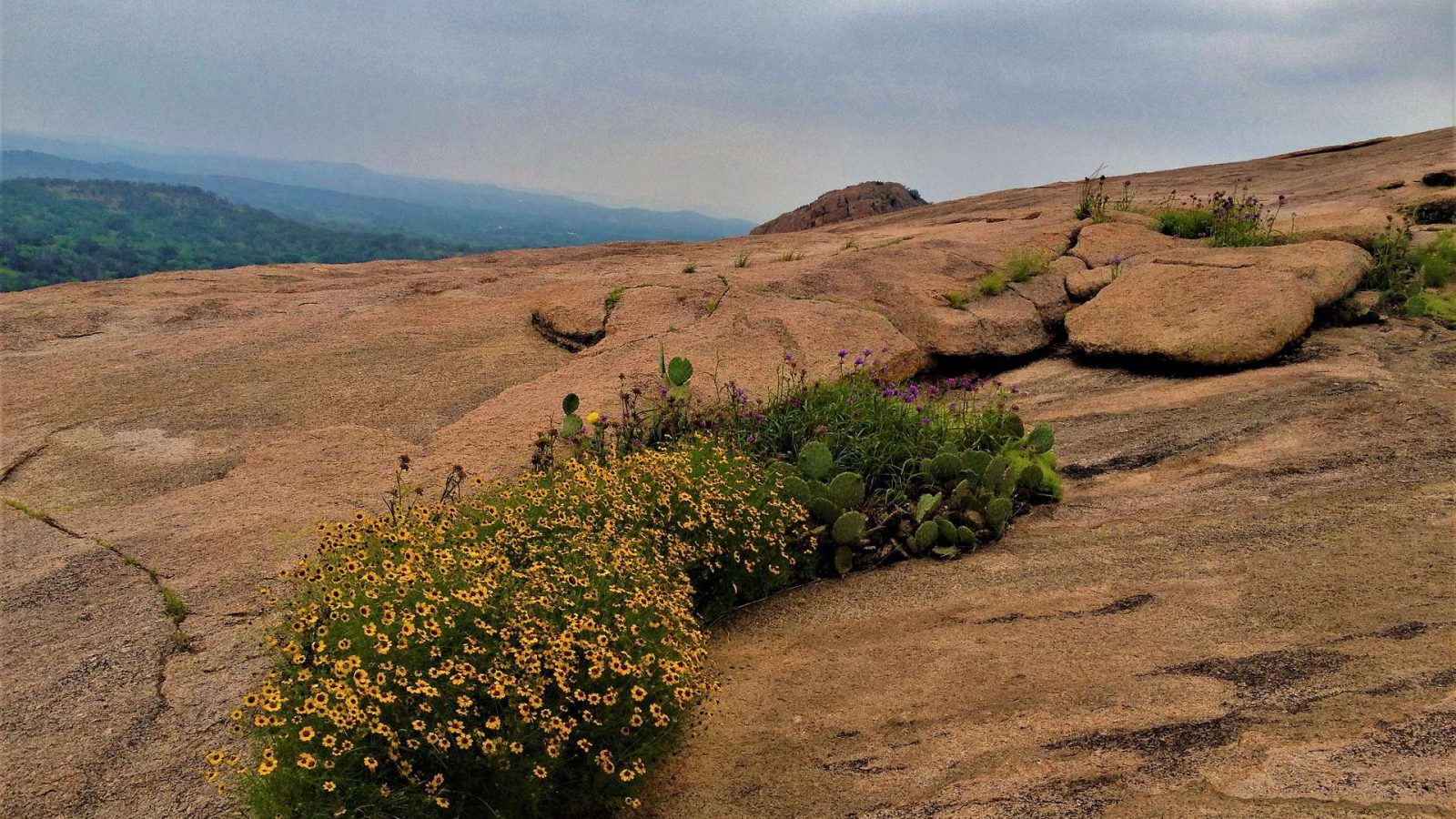 parco naturale di enchanted rock in texas