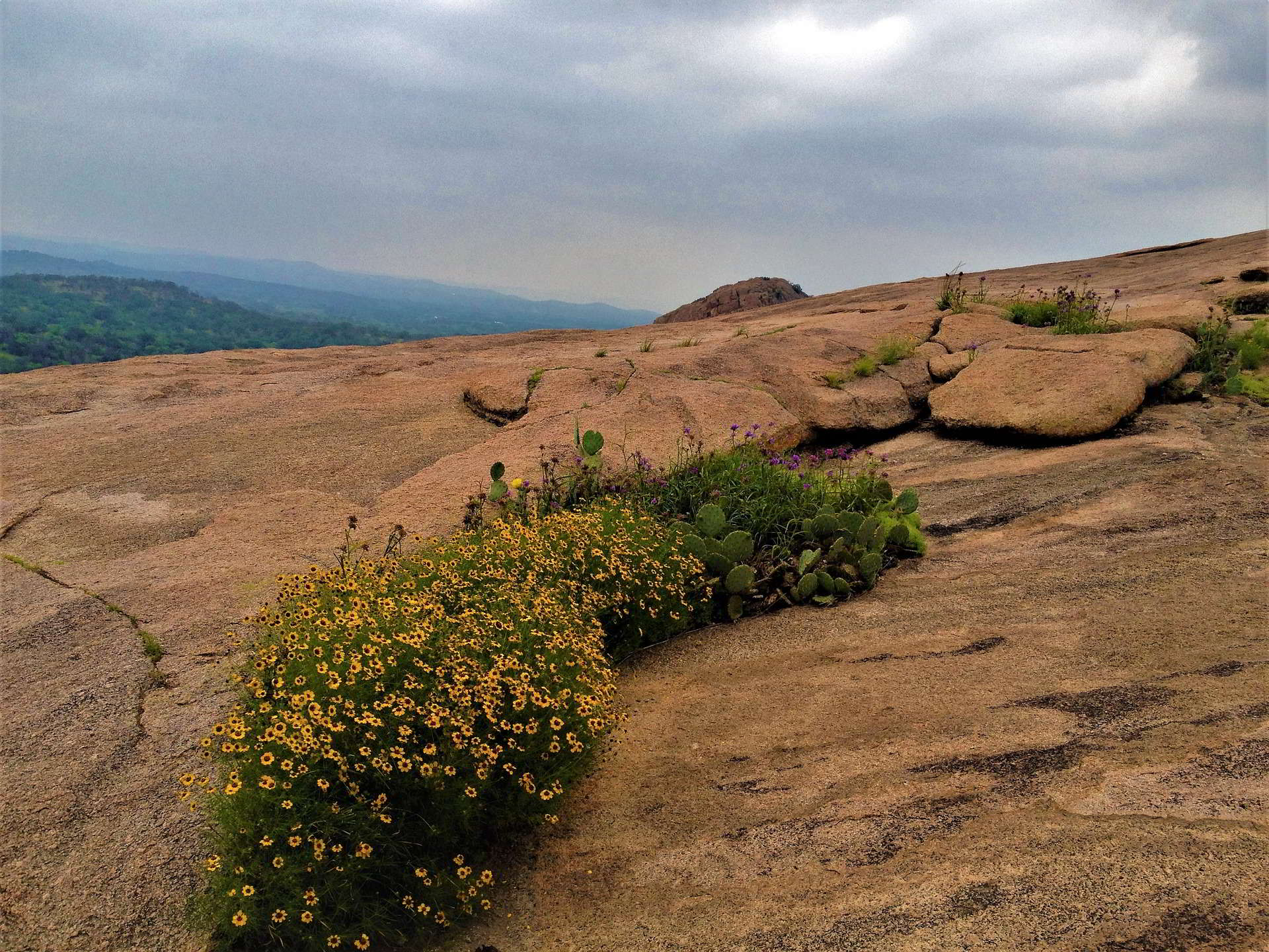 parco naturale di enchanted rock in texas